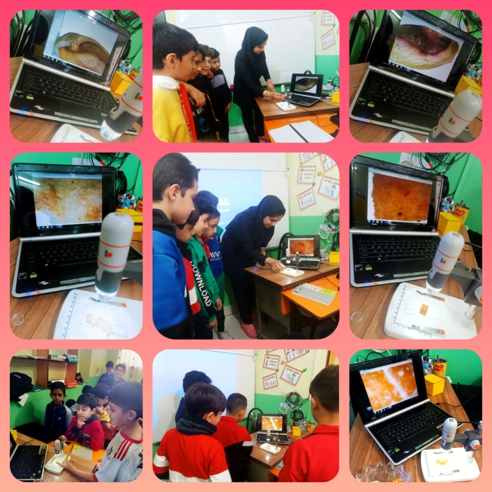 ساحت تعلیم و تربیت علمی و فناورانه :orange_book::pencil2: ساعت جذاب علوم :clock1030: :sparkles:‌ آشنایی با کاربرد عدسی در زندگی :sparkles: آشنایی با کارایی میکروسکوپ و بزرگنمایی اجسام و مواد ریز :sparkles: کاوشگری گل پسرهای عزیزم با استفاده از مواد خوراکی متفاوت و مشاهده ی سلول های مواد به صورت عینی پایه پنجم آموزگار: هرمـزی