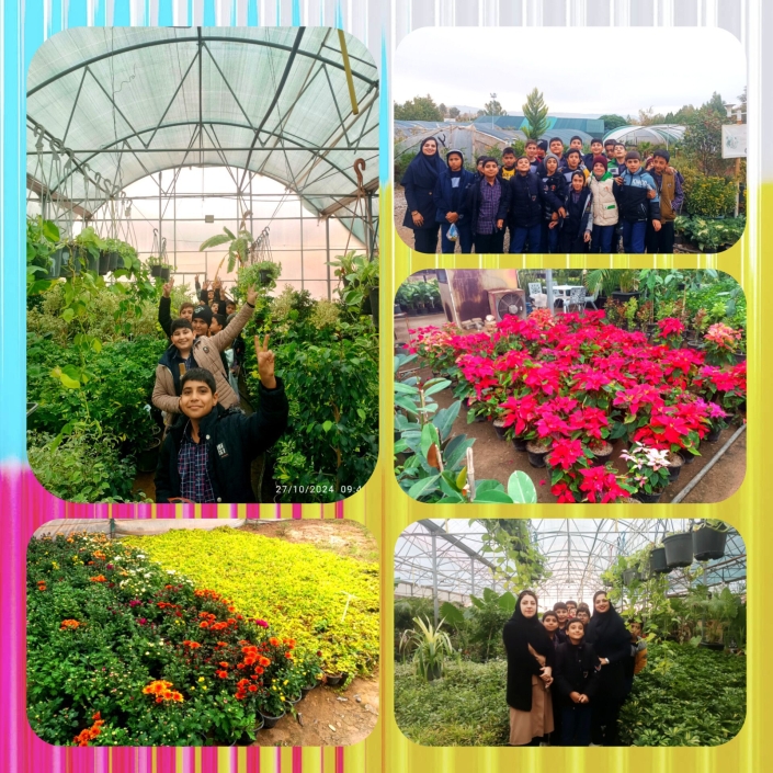 ساحت تعلیم و تربیت علمی و فناورانه :green_book: زنگ مطالعات اجتماعی :sparkles: بازدید از فضای زیبای گلخانه :sparkles: آشنایی دانش آموزان عزیزم با کشت گلخانه ای :sparkles: مشاهده ی انواع گیاهان و میوه های گلخانه ای:pineapple:? :sparkles: بررسی تفاوت گیاهان گلخانه ای با محصولات جالیزی :watermelon::tomato:?:eggplant: پایه ششم آموزگار: هـرمزی